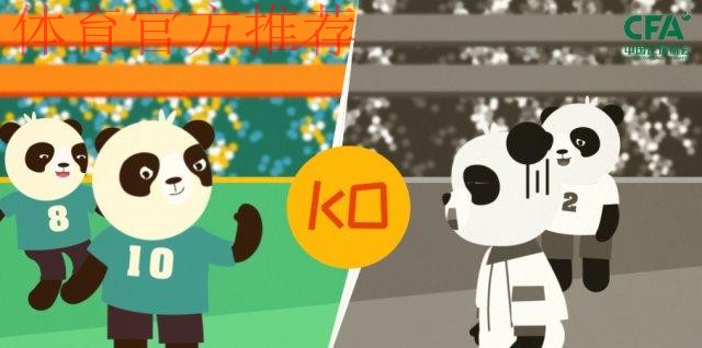 《熊猫说球》第七集：视频助理裁判